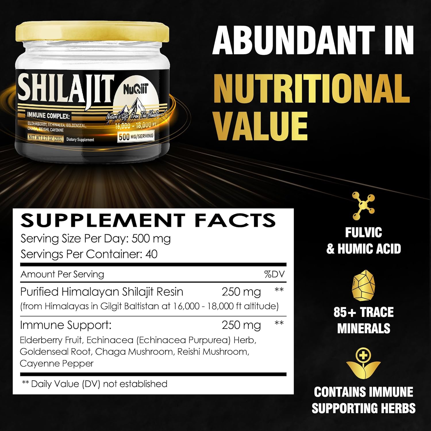 20g NUQIIT Shilajit Resin with Elderberry, Echinacea, Goldenseal, Chaga, Reishi, Cayenne - Immune Support Blend