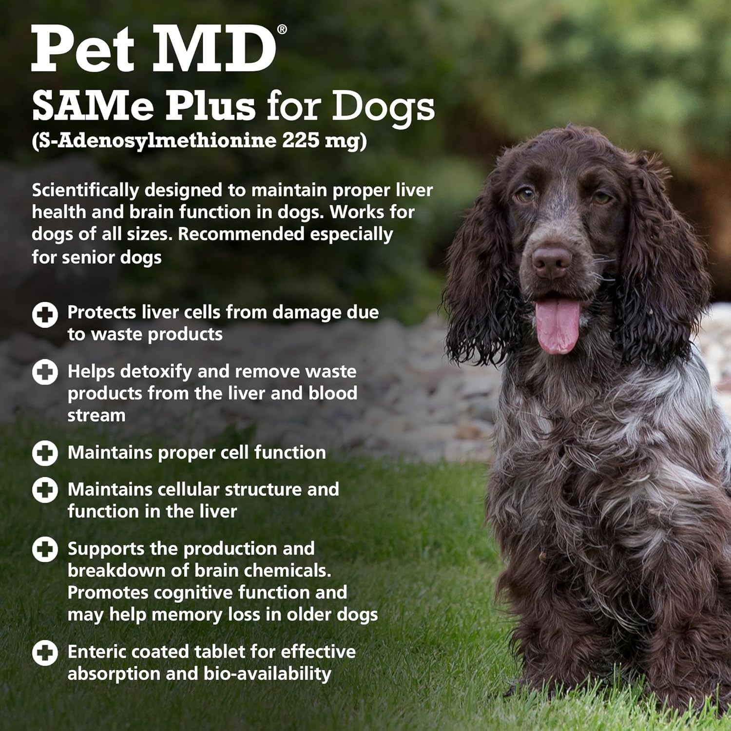 225 MG Pet MD Same Plus S-Adenosyl Liver Supplement for Dogs - 60 Tablets