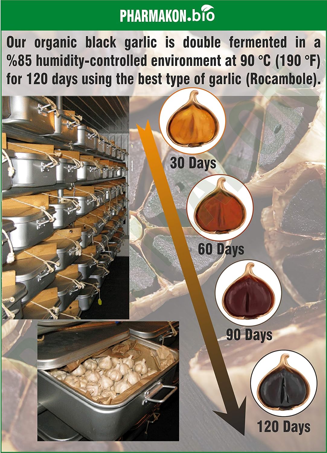 240 Count PHARMAKON Organic Aged Black Garlic Soft Capsules - High Bioavailability, Low Odor, Nutritious