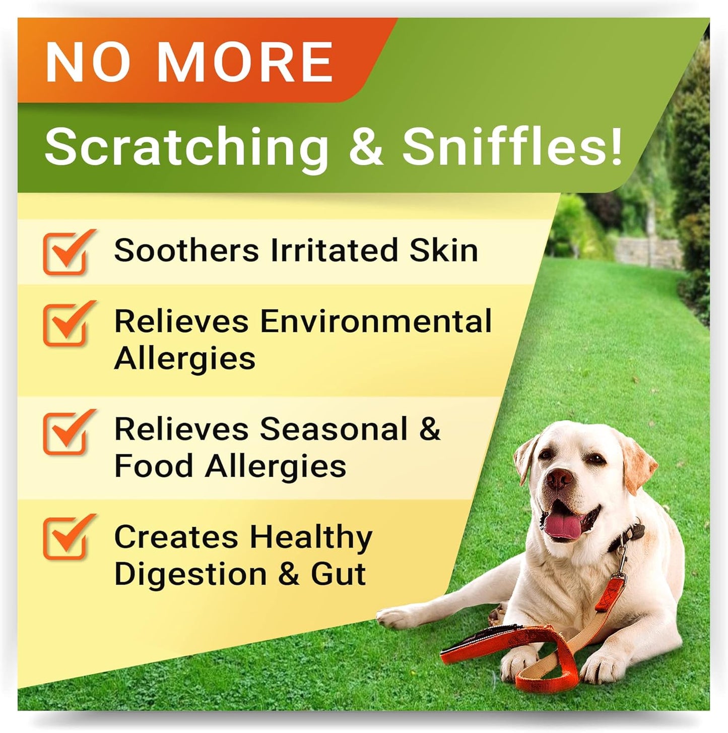 240 ct Strellalab Vet Strength Probiotics & Allergy Relief Bundle for Dogs - Chewable Fiber & Itchy Skin Treatment with Digestive Enzymes, Pumpkin, Upset Stomach & Hotspot Relief - Made in USA