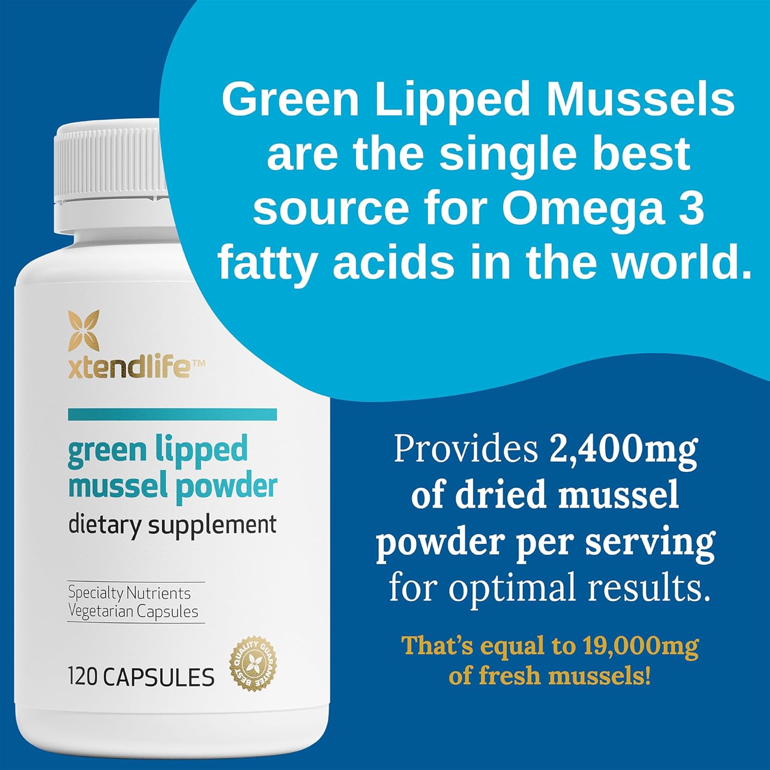2400mg Green Lipped Mussel Powder Supplement for Joint Health - Omega-3 Fatty Acids from New Zealand, 120 Capsules