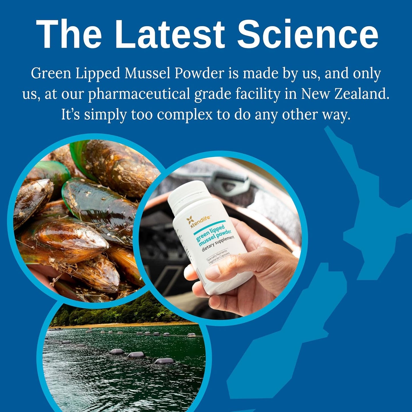2400mg Green Lipped Mussel Powder Supplement for Joint Health - Omega-3 Fatty Acids from New Zealand, 120 Capsules