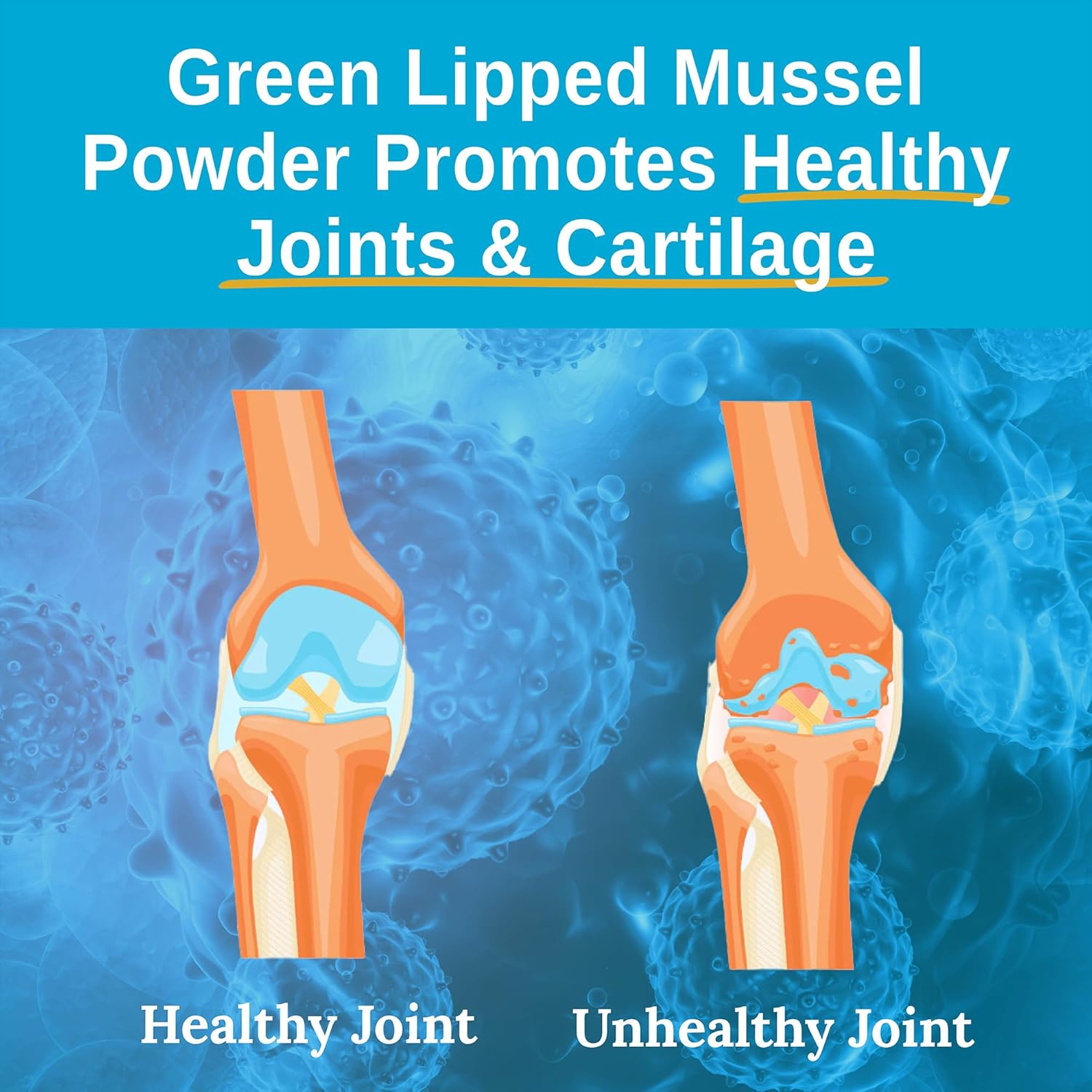 2400mg Green Lipped Mussel Powder Supplement for Joint Health - Omega-3 Fatty Acids from New Zealand, 120 Capsules
