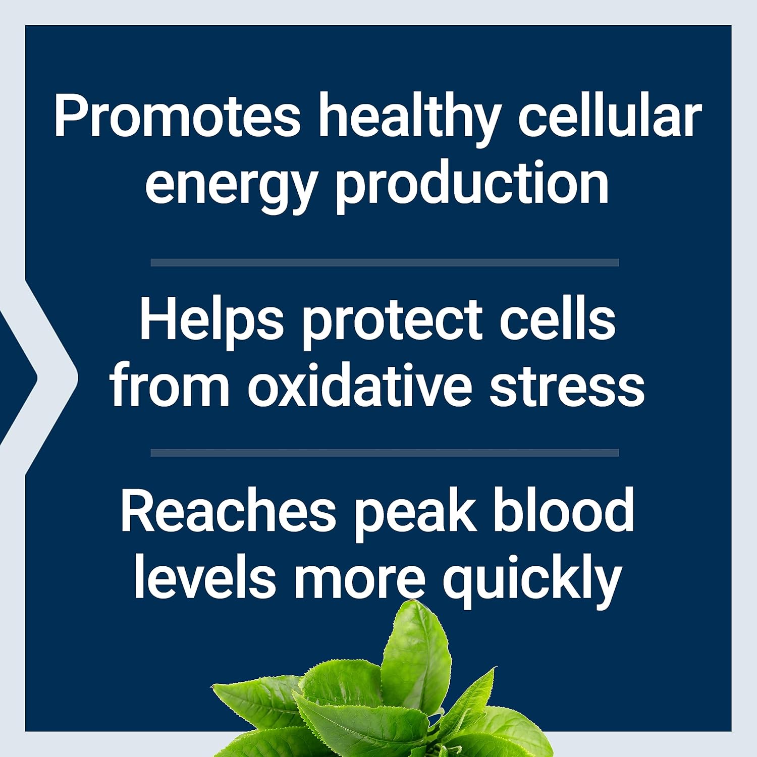 240mg Life Extension Super R-Lipoic Acid & Acetyl-L-Carnitine Capsules for Cellular Energy & Brain Health - 100 Count