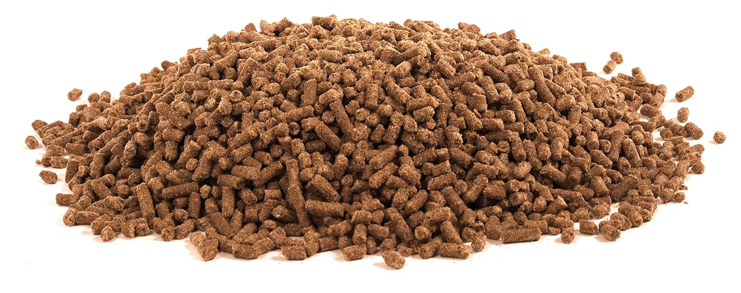 25 lb UltraCruz Equine Electrolyte Plus Pellet Supplement for Horses (93 Day Supply)