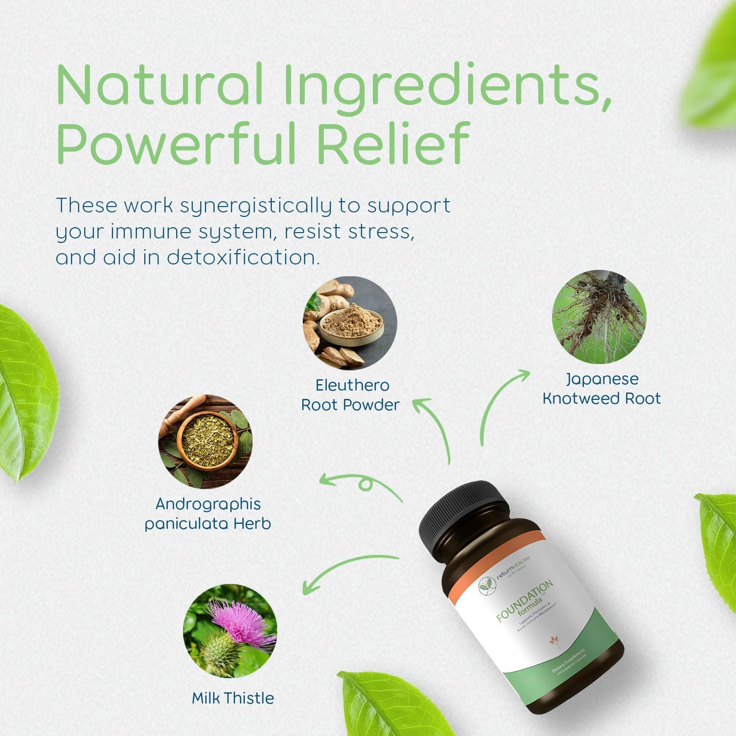 270 Capsules of Non-GMO Immune Support Supplement with Japanese Knotweed Root, Cat's Claw, Milk Thistle, and Resveratrol - Vegetarian Formula for Healthy Foundation