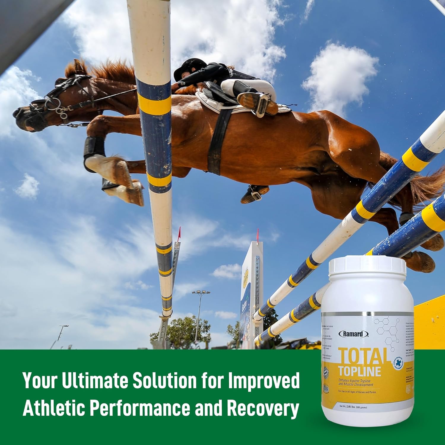 2lb Tub of Ramard Total Topline Powder Horse Supplement for Muscle Recovery & Growth - Protein & Amino Energy for Foals and Horses