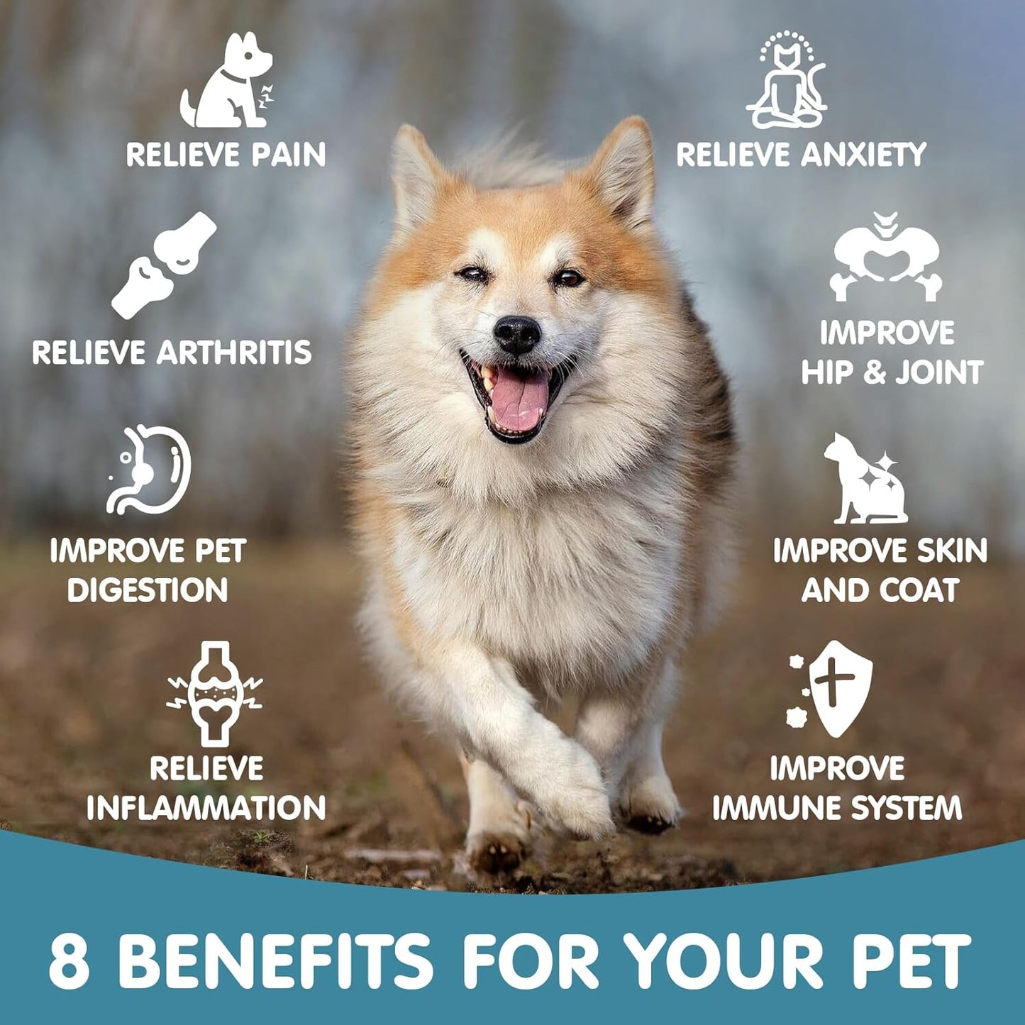 2PACK HMonemetabolism boosterOil for Dogs and Cats: Anxiety, Stress, Seizures, Arthritis, Hip Joint Pain Relief - Calming Drops, Sleep Aid