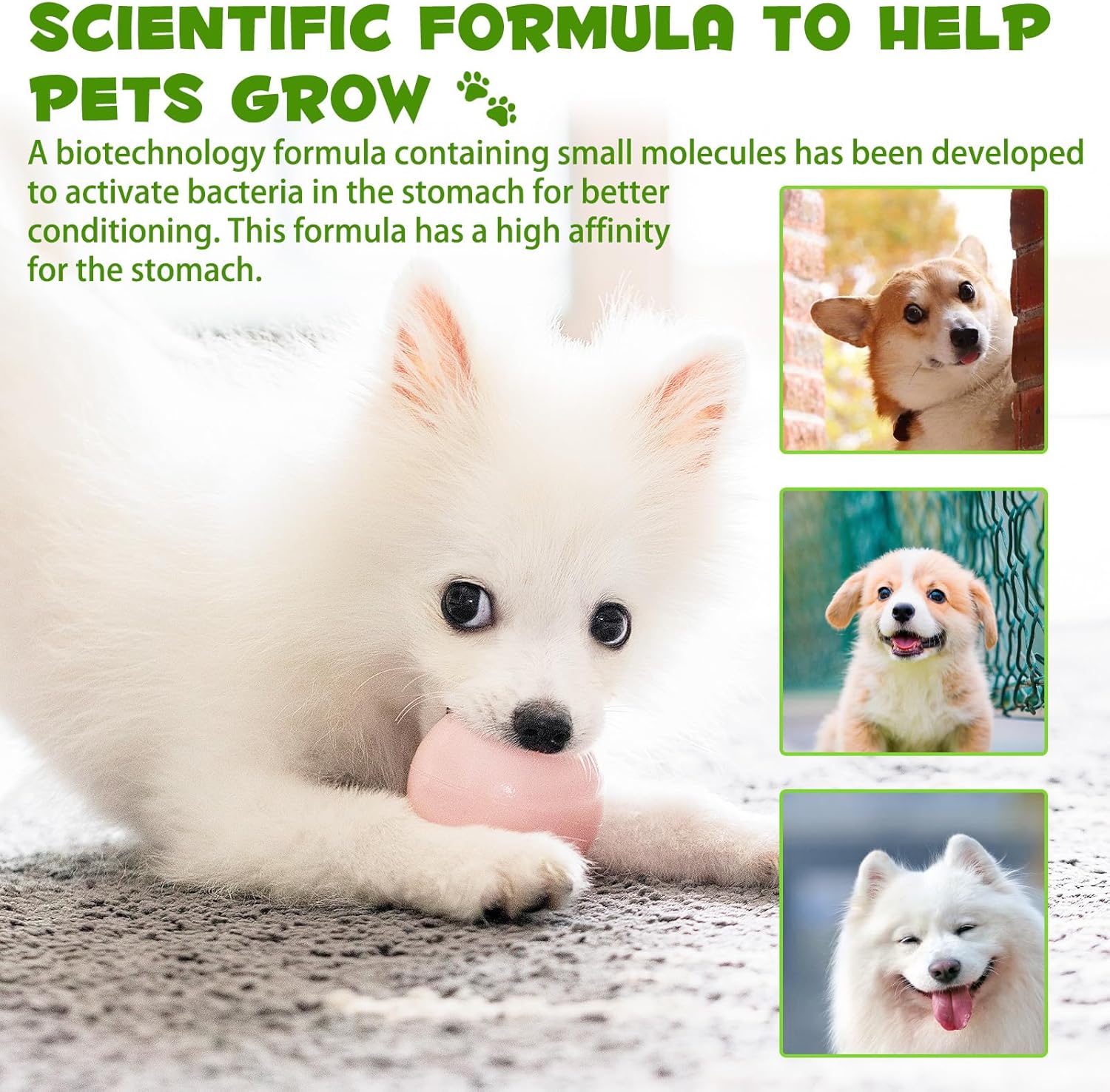 3-in-1 Bacon Flavored Dog Probiotic Drops for Diarrhea Relief, Gut Health, and Immunity Support - 60ml