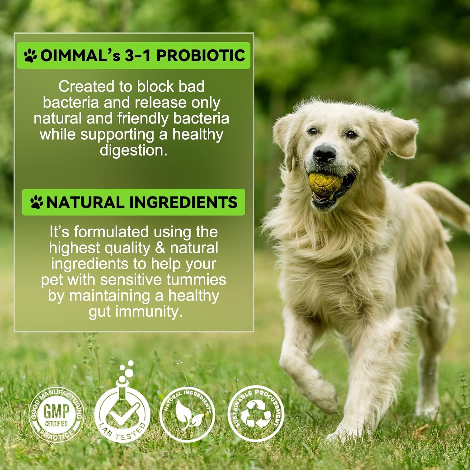 3-in-1 Pet Probiotic Supplement for Dogs | 2 Oz Liquid Dog Probiotics for Digestive Support