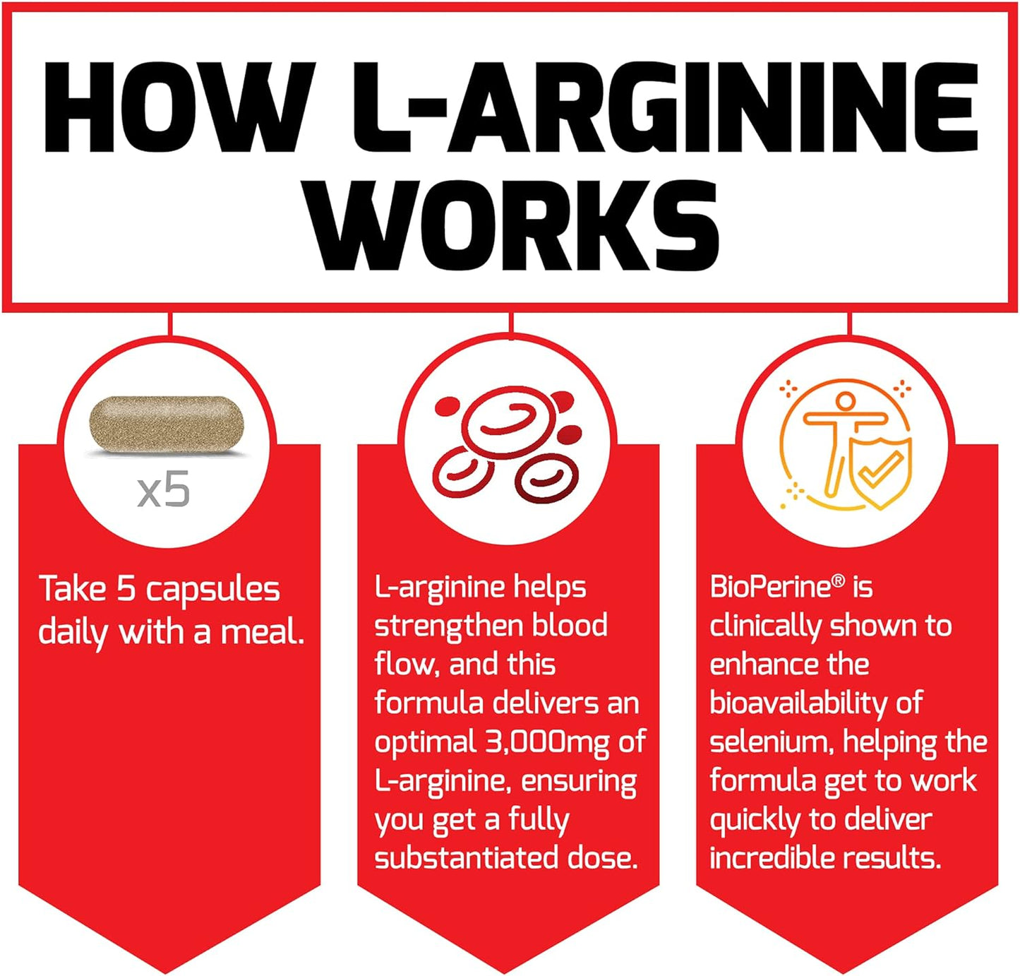 3-Pack Force Factor L-Arginine Nitric Oxide Supplement with BioPerine - Build Muscle, Support Blood Flow, Circulation, Nutrient Delivery, & Pumps - 3000mg, 450 Capsules