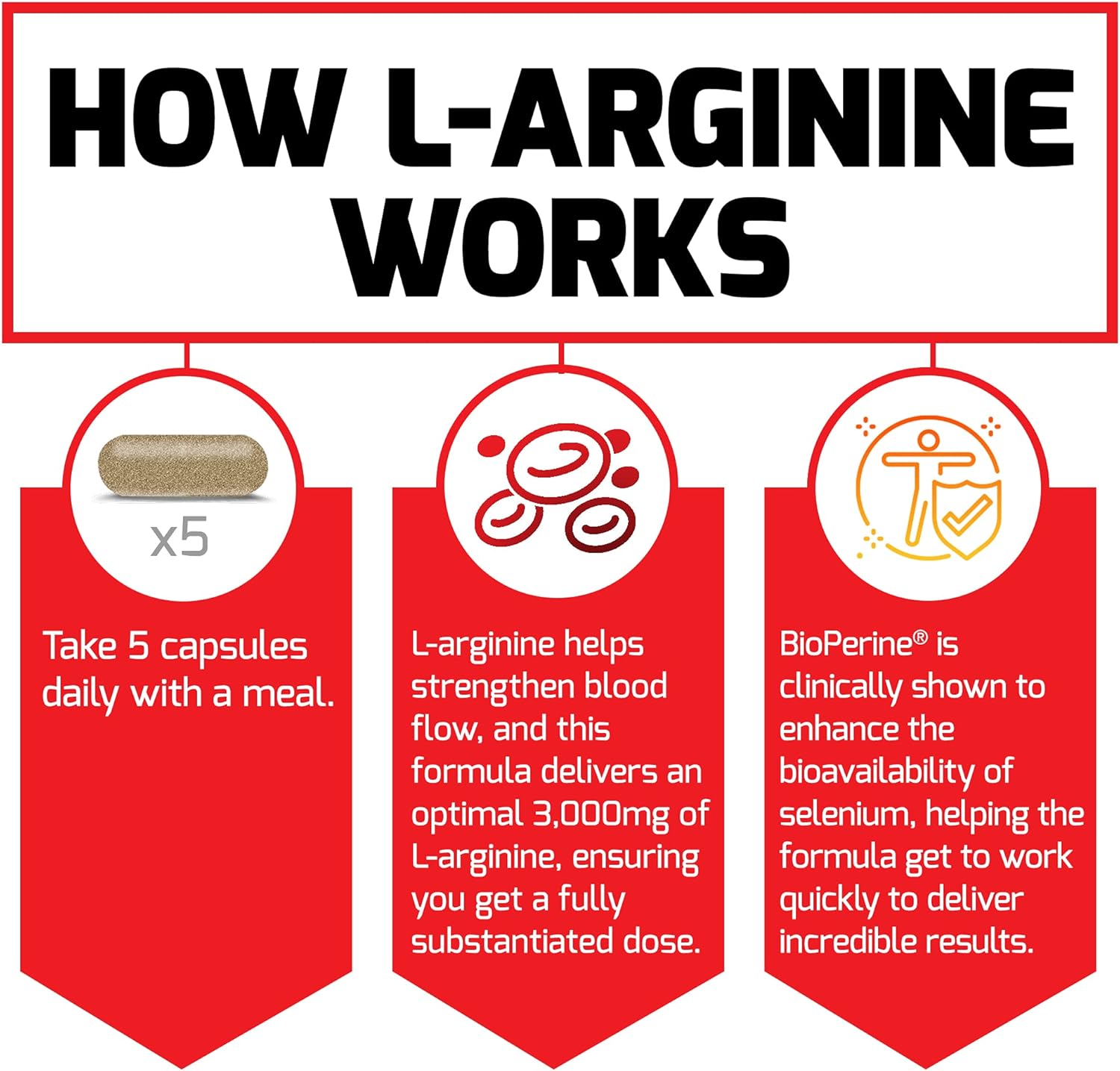 3-Pack Force Factor L-Arginine Nitric Oxide Supplement with BioPerine - Build Muscle, Support Blood Flow, Circulation, Nutrient Delivery, & Pumps - 3000mg, 450 Capsules