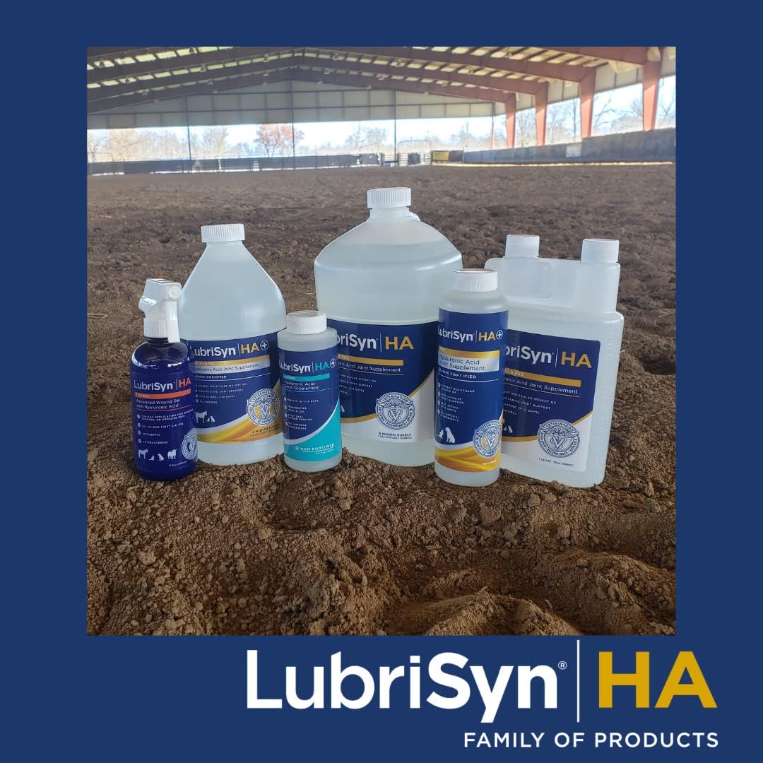 3-Pack Lubrisyn HA with MSM - Vegan Joint Relief Supplement - Made in USA - 90 Day Supply - Liquid Hyaluronic Acid Formula
