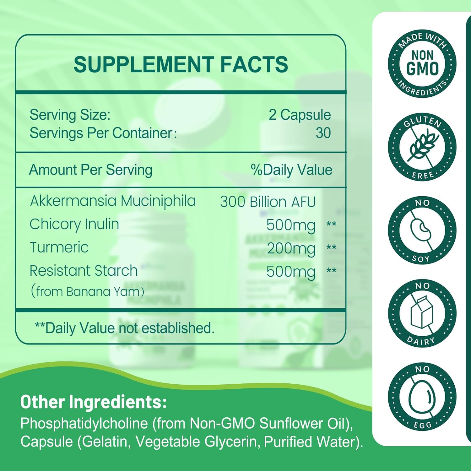 30 Day Supply of inGreens Akkermansia Muciniphila Probiotic with Chicory Inulin, Turmeric, Resistant Starch - Vegan & Gluten Free Gut Management Supplement