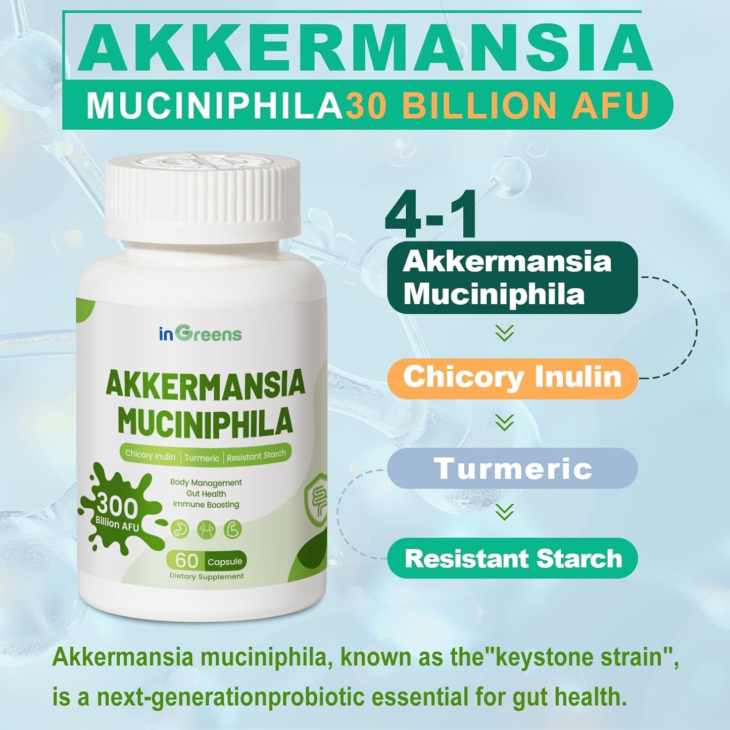 30 Day Supply of inGreens Akkermansia Muciniphila Probiotic with Chicory Inulin, Turmeric, Resistant Starch - Vegan & Gluten Free Gut Management Supplement