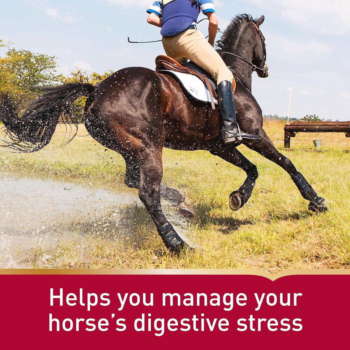 30-Day Supply of Vita Flex Pro Daily Gastric Care Alfalfa-Based Pellets, Show Safe* Formula