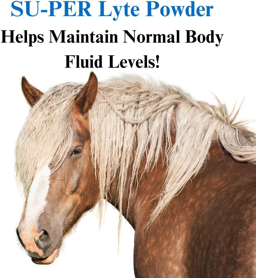 30 lb SU-PER Lyte Horse Electrolyte Supplement - Maintain Normal Body Fluid Levels - Performance Minerals & Electrolytes - 8 Month Supply