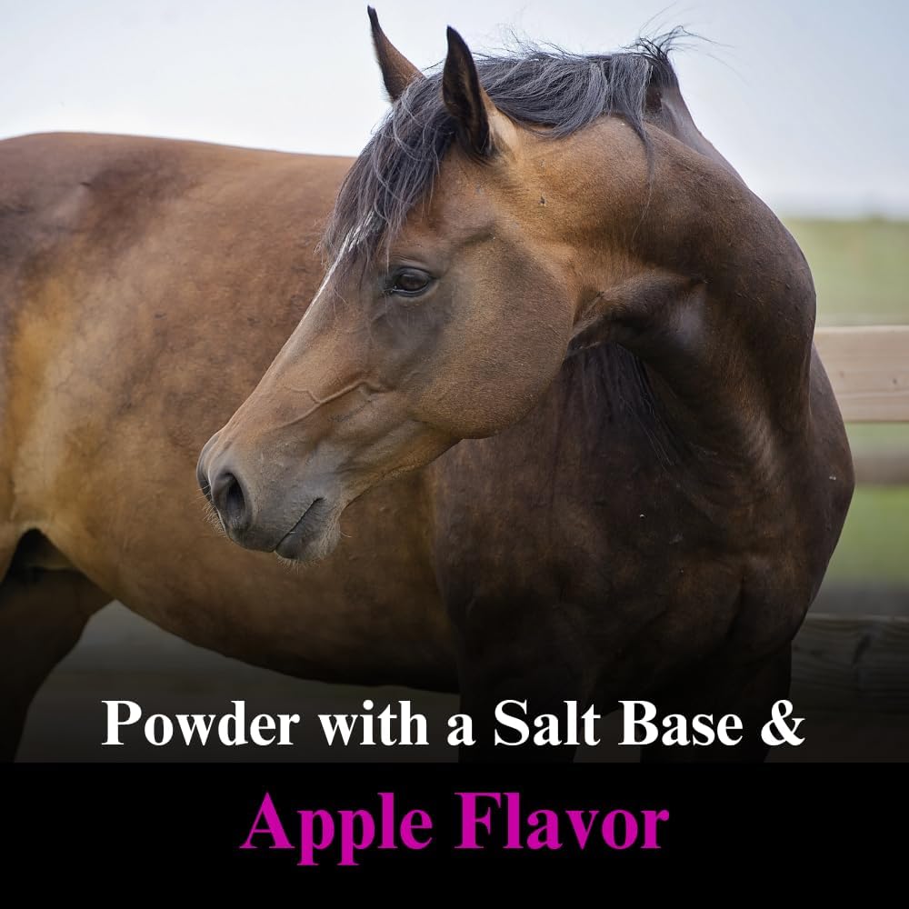 30 lb SU-PER Lyte Horse Electrolyte Supplement - Maintain Normal Body Fluid Levels - Performance Minerals & Electrolytes - 8 Month Supply