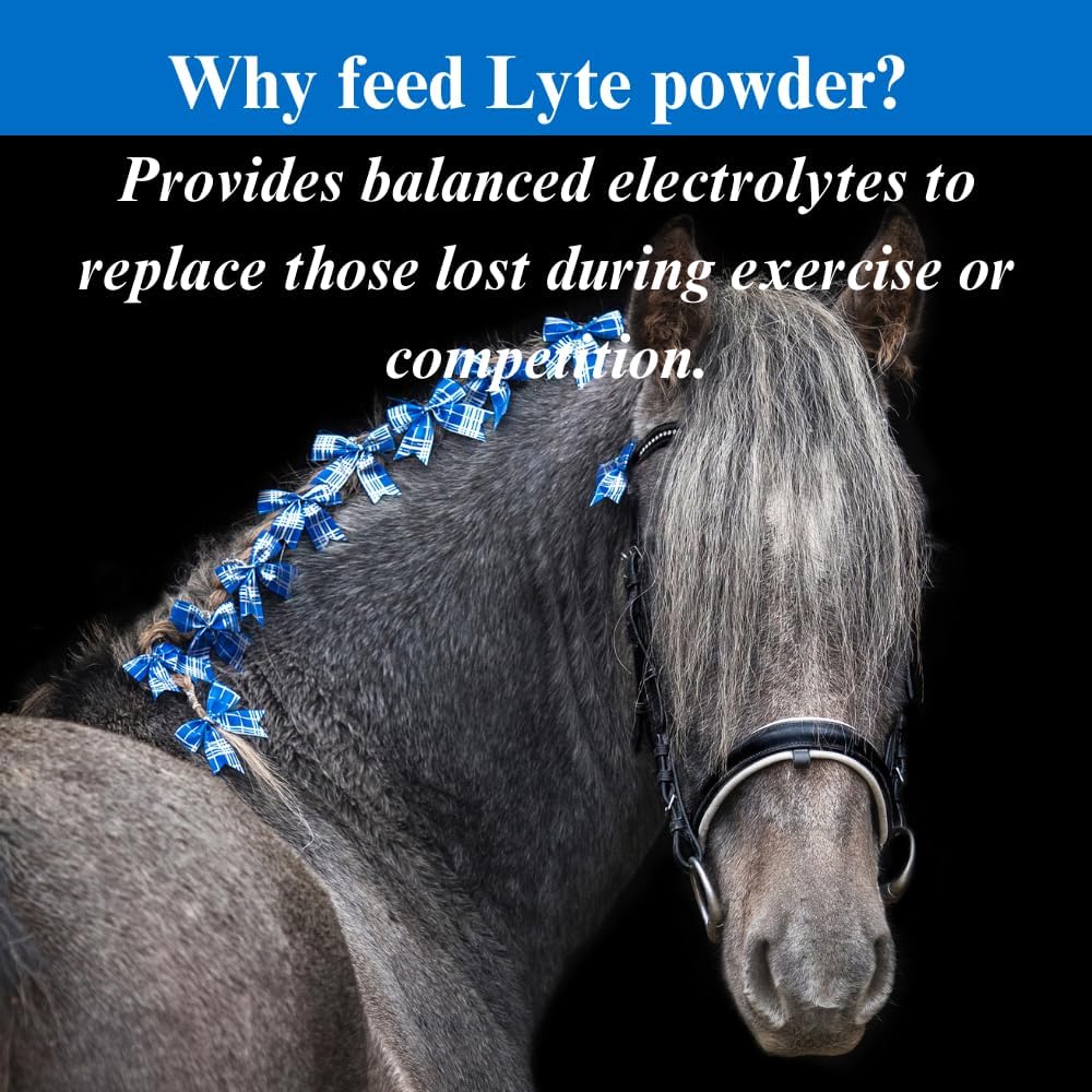30 lb SU-PER Lyte Horse Electrolyte Supplement - Maintain Normal Body Fluid Levels - Performance Minerals & Electrolytes - 8 Month Supply
