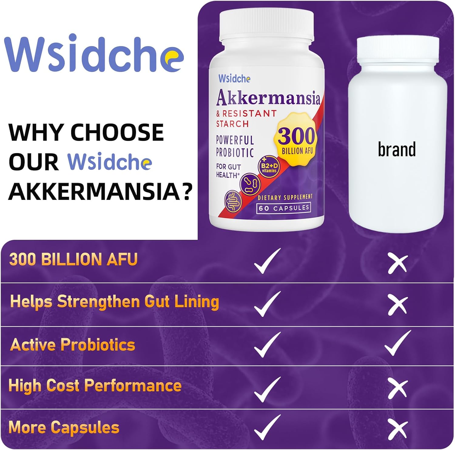 300 Billion AFU Akkermansia Muciniphila Probiotic Supplement for Men & Women - Supports Gut, Digestive, and Immune Health - 240 Capsules