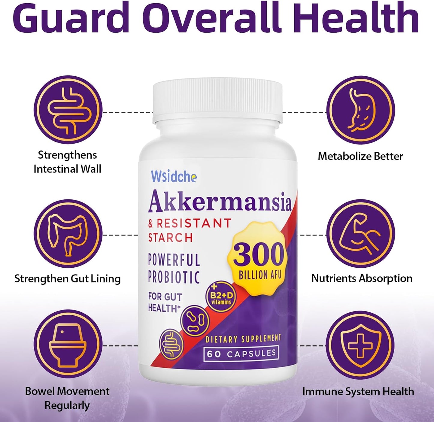 300 Billion AFU Akkermansia Muciniphila Probiotic Supplement for Men & Women - Supports Gut, Digestive, and Immune Health - 240 Capsules