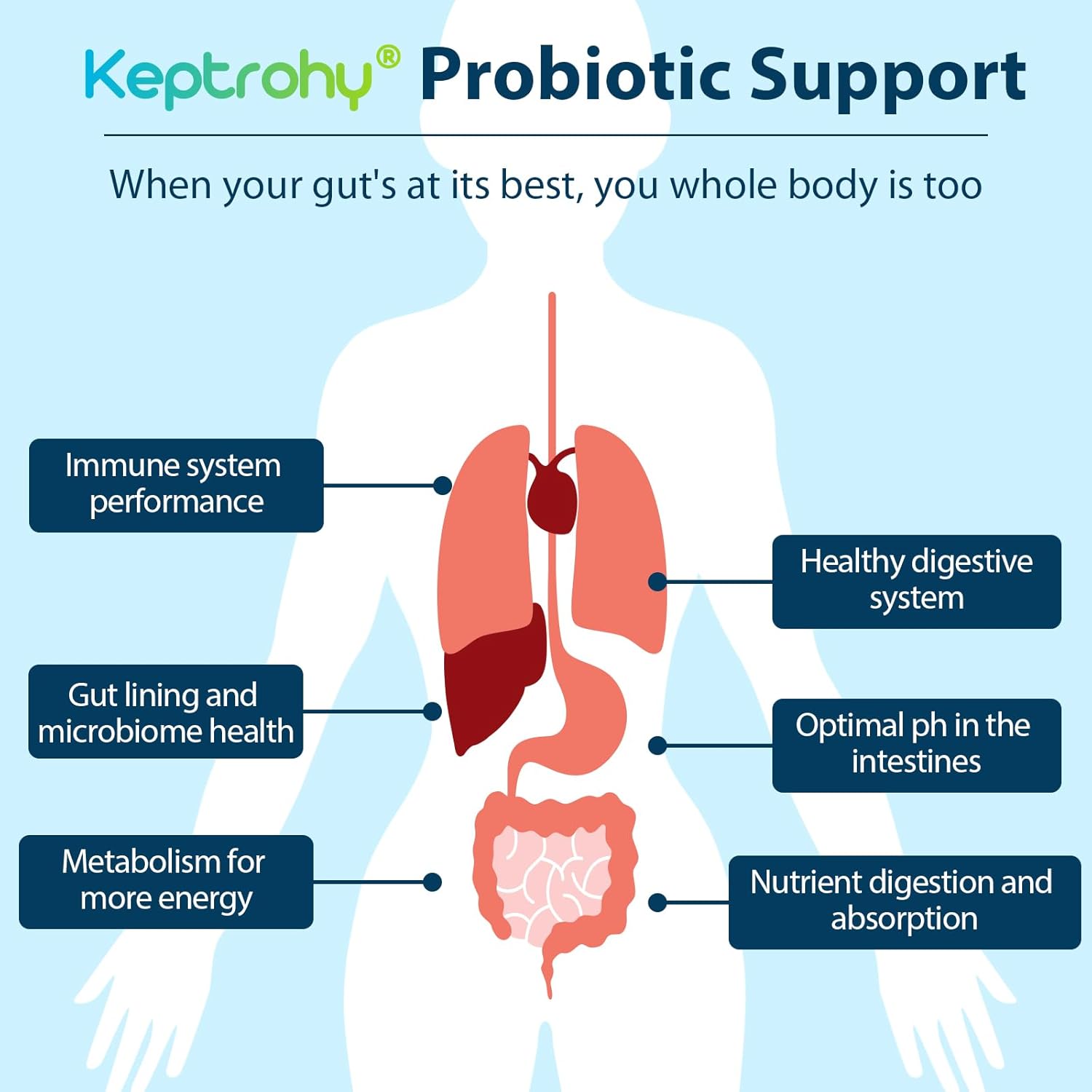 300 Billion CFU Probiotics for Gut Health, 12 Strains Probiotic Supplement with Prebiotics, Organic Blend for Women and Men, 240 Capsules, Shelf Stable, Immune Support