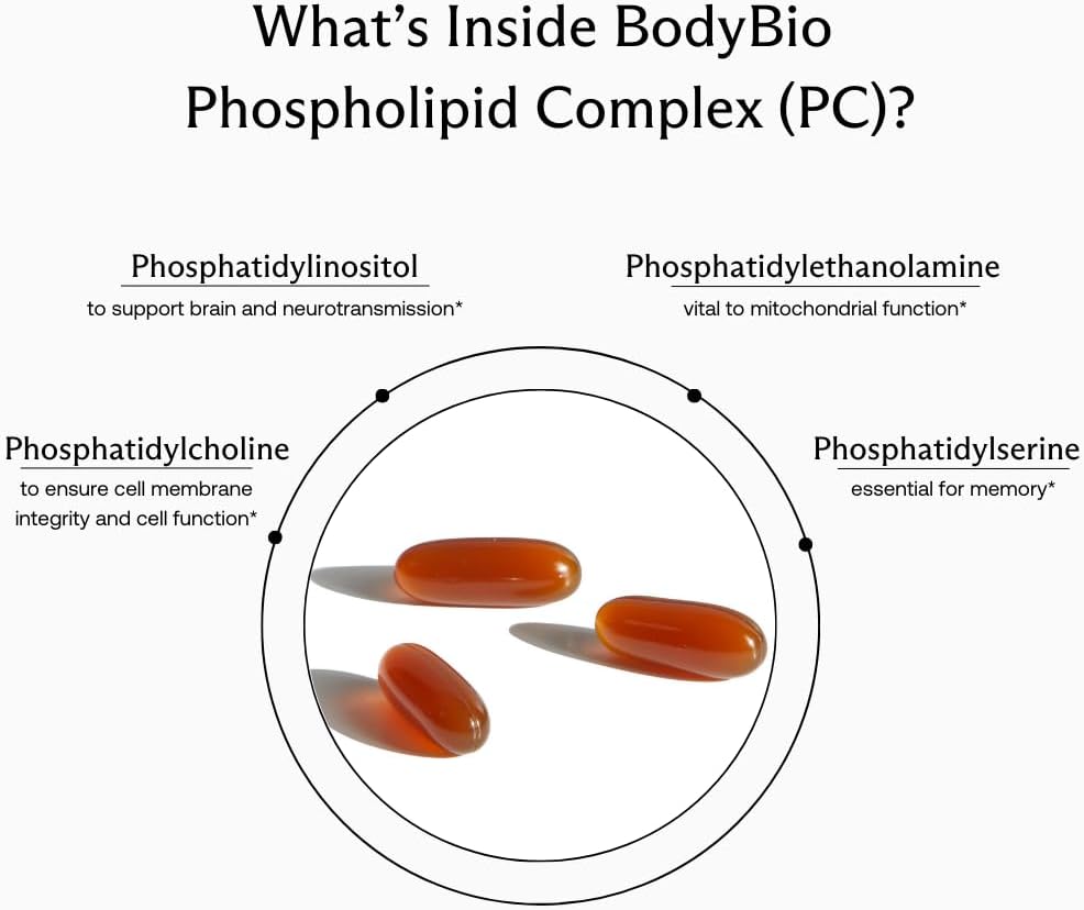 300 Softgel BodyBio PC for Memory, Focus & Clarity - Liposomal Brain Supplement with Optimal Absorption