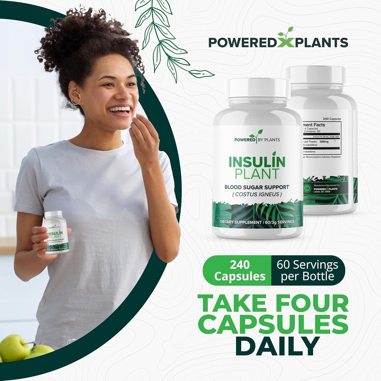 3000mg Costus Igneus Leaf Powder Capsules by Powered X Plants - Vegan Non GMO Insulin Plant Supplements - Gluten Free - 240 Capsules for Women & Men
