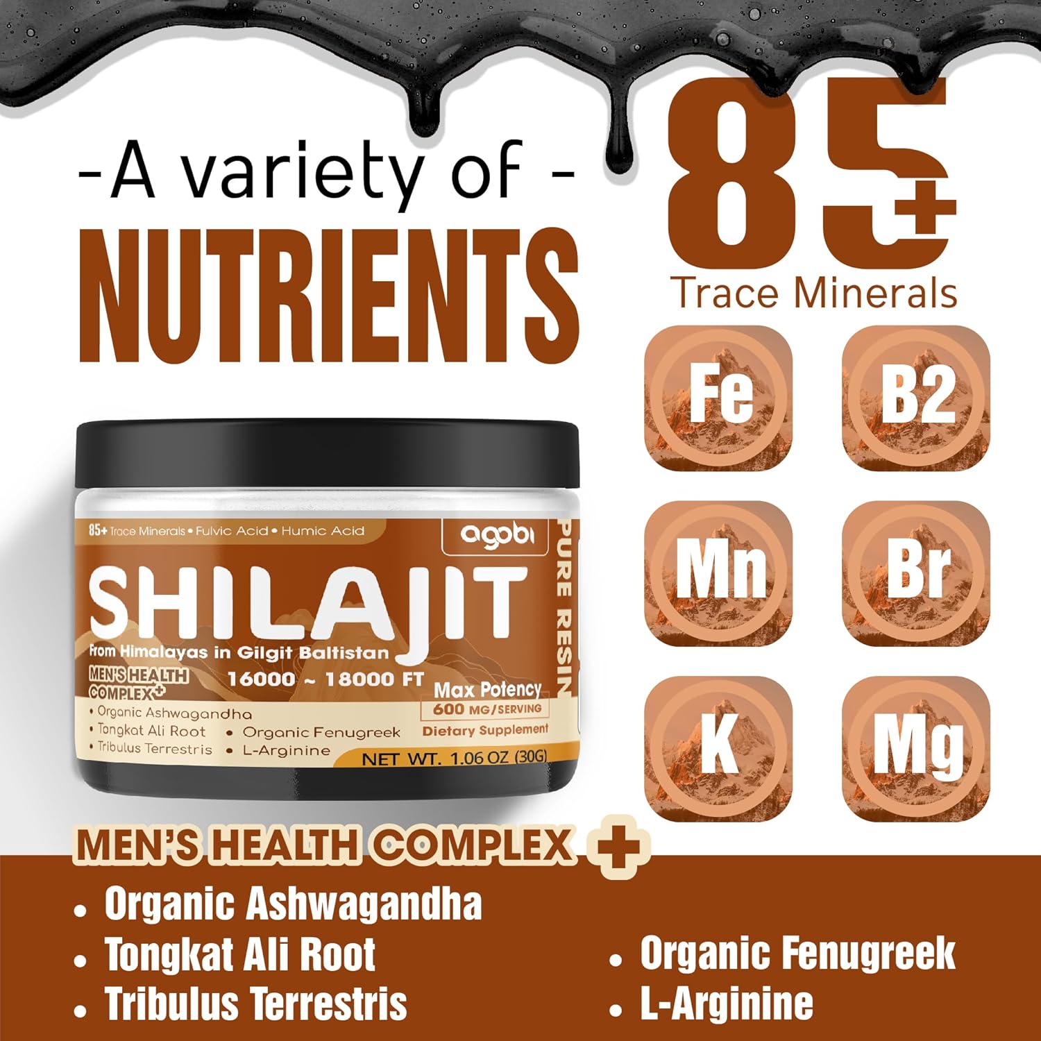 30g Organic Himalayan Shilajit Resin Supplement - Rich in 85+ Trace Minerals, Fulvic Acid, Ashwagandha, Tongkat Ali & Herbs for Immune, Energy, and Brain Health Support