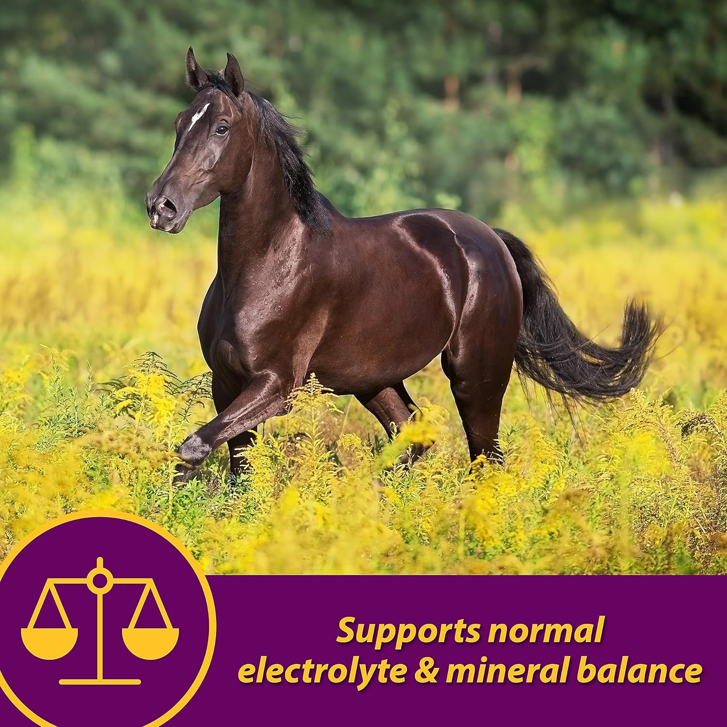 30lb Farnam Horse Health Apple-Dex Electrolytes for 240 Days