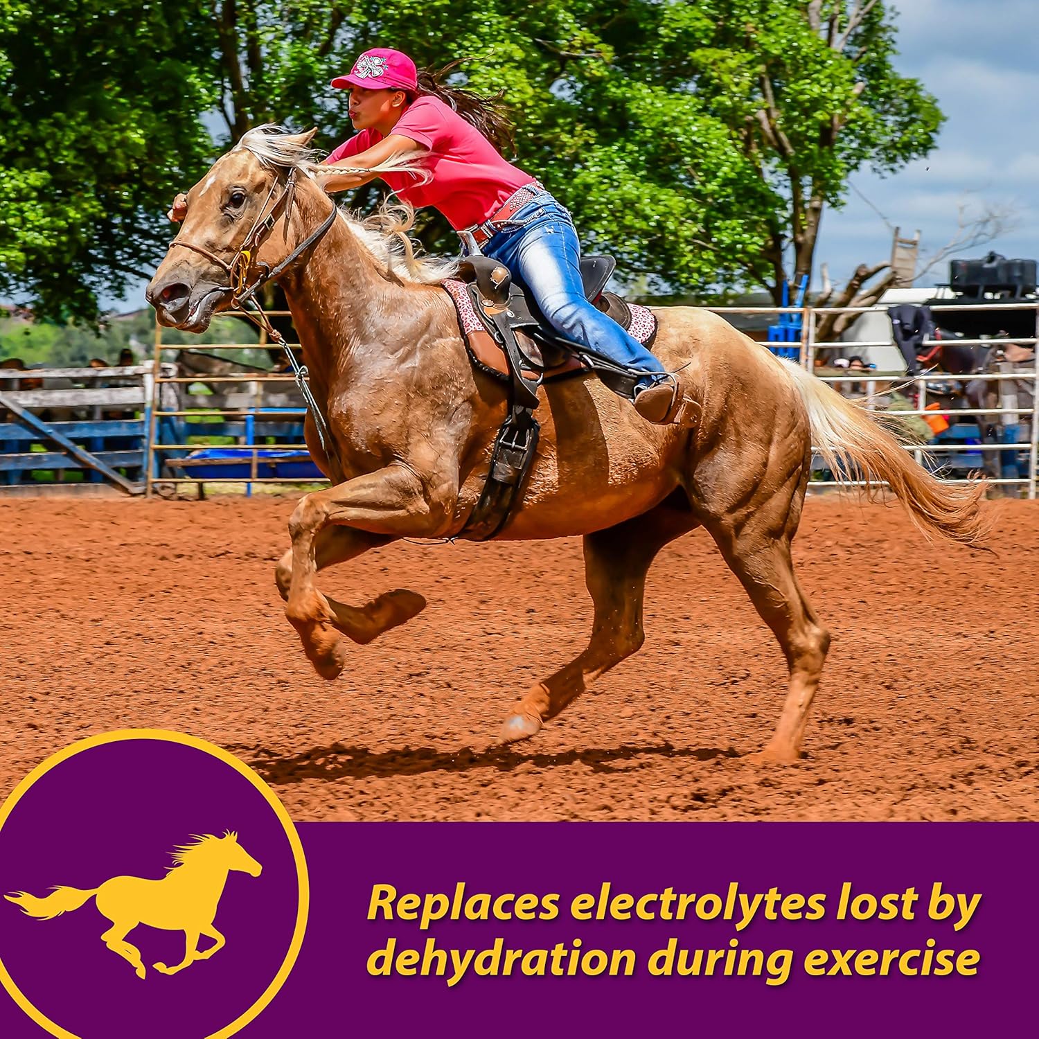 30lb Farnam Horse Health Apple-Dex Electrolytes for 240 Days
