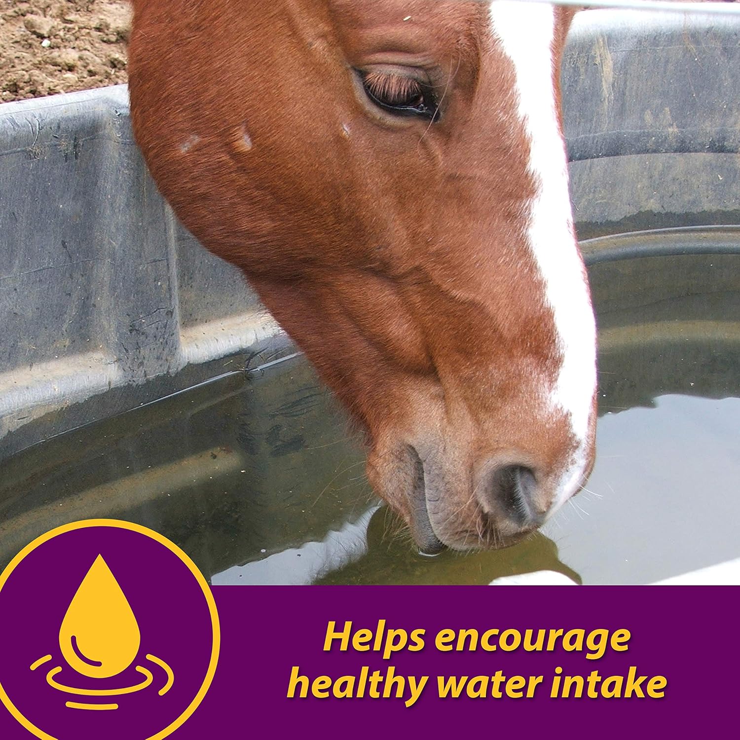 30lb Farnam Horse Health Apple-Dex Electrolytes for 240 Days