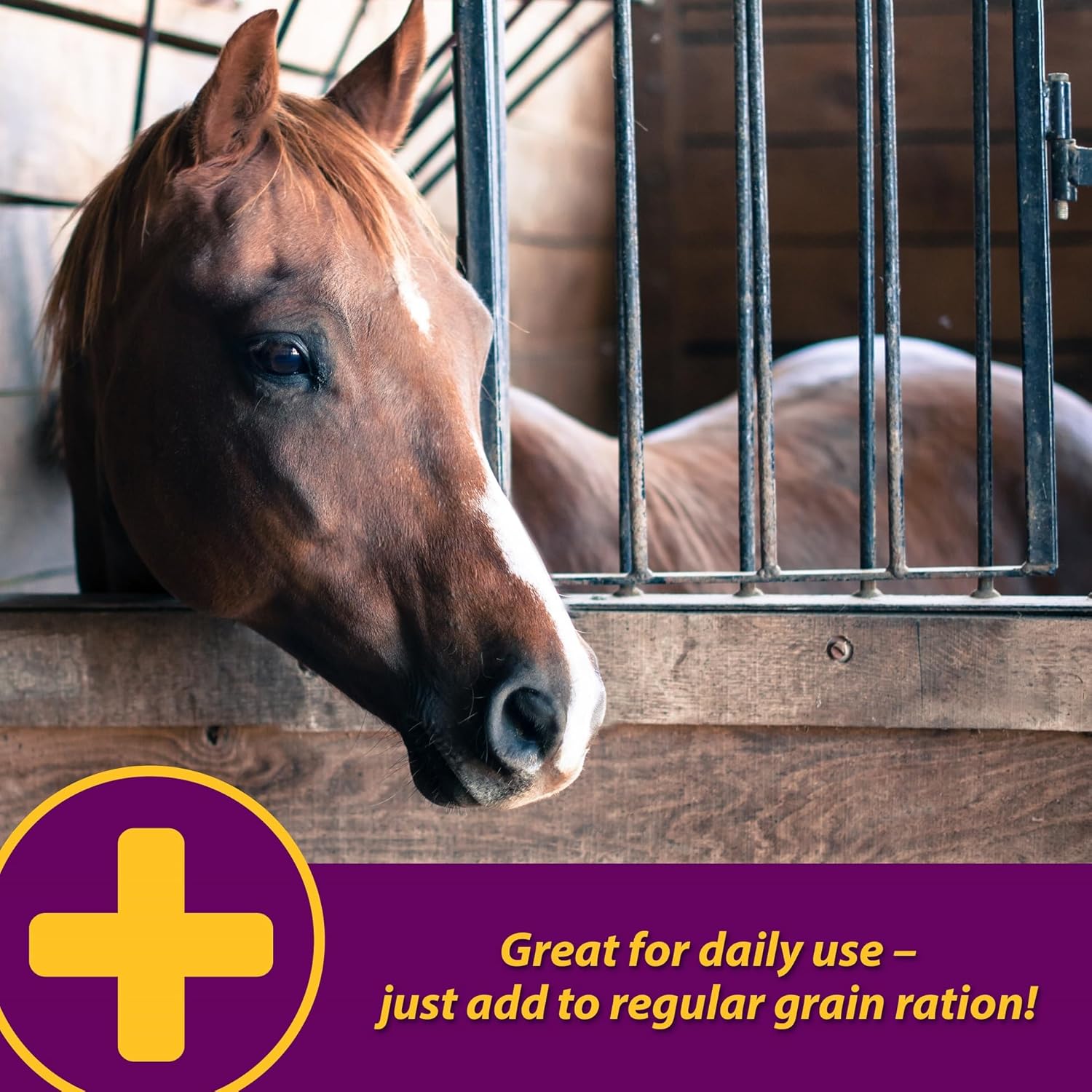 30lb Farnam Horse Health Apple-Dex Electrolytes for 240 Days
