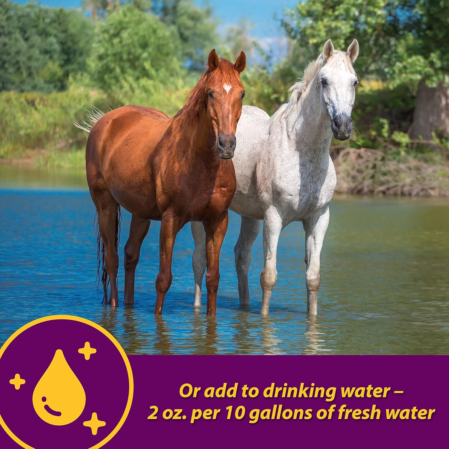30lb Farnam Horse Health Apple-Dex Electrolytes for 240 Days