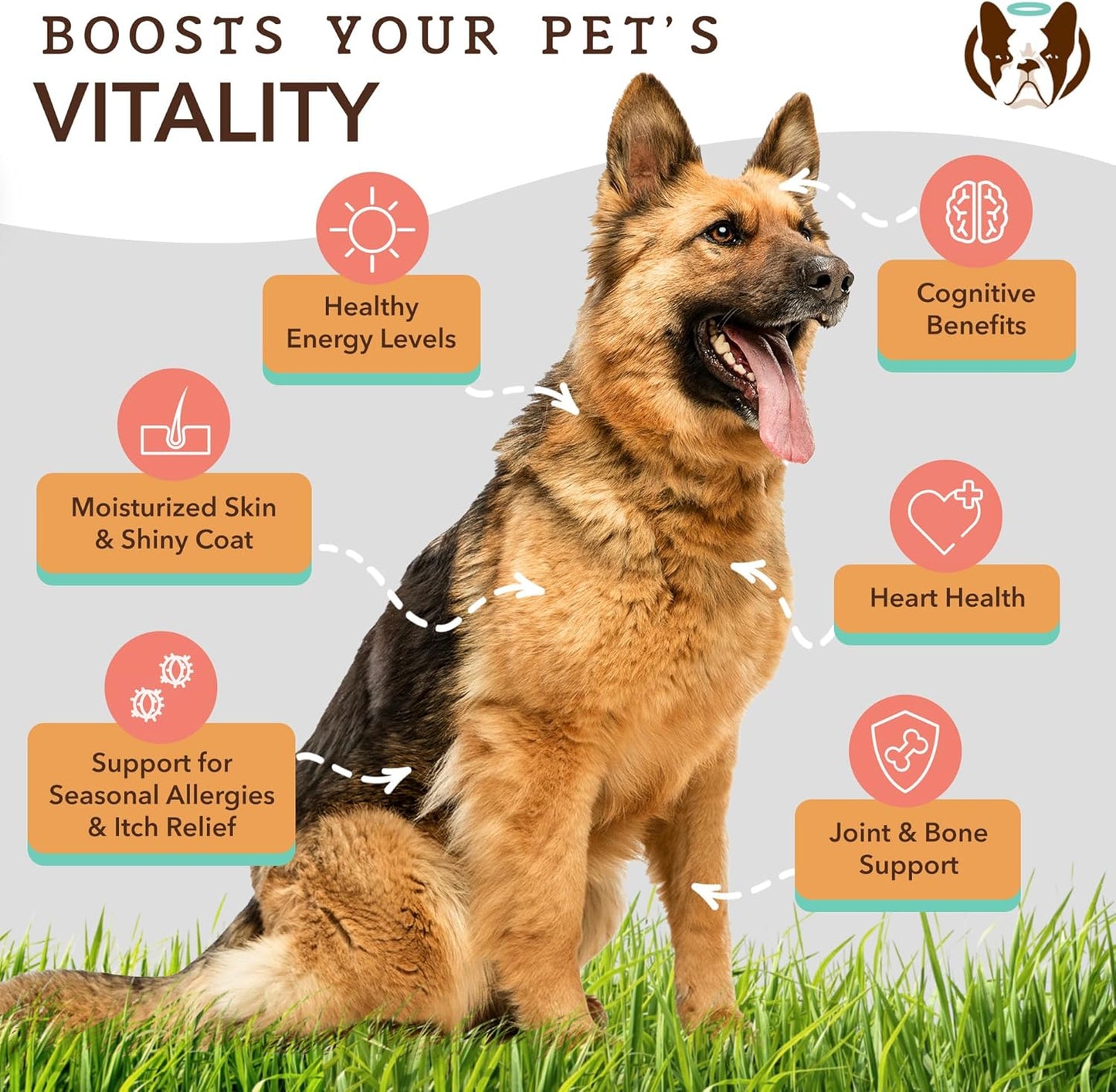 32 oz. Natural Dog Company Bundle with Wild Alaskan Salmon Oil and Liquid Glucosamine for Joint Support