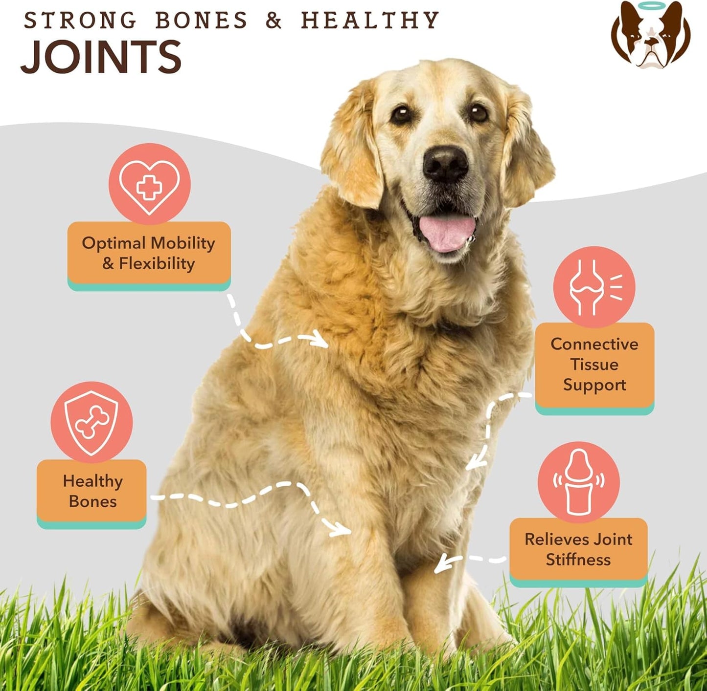 32 oz. Natural Dog Company Bundle with Wild Alaskan Salmon Oil and Liquid Glucosamine for Joint Support