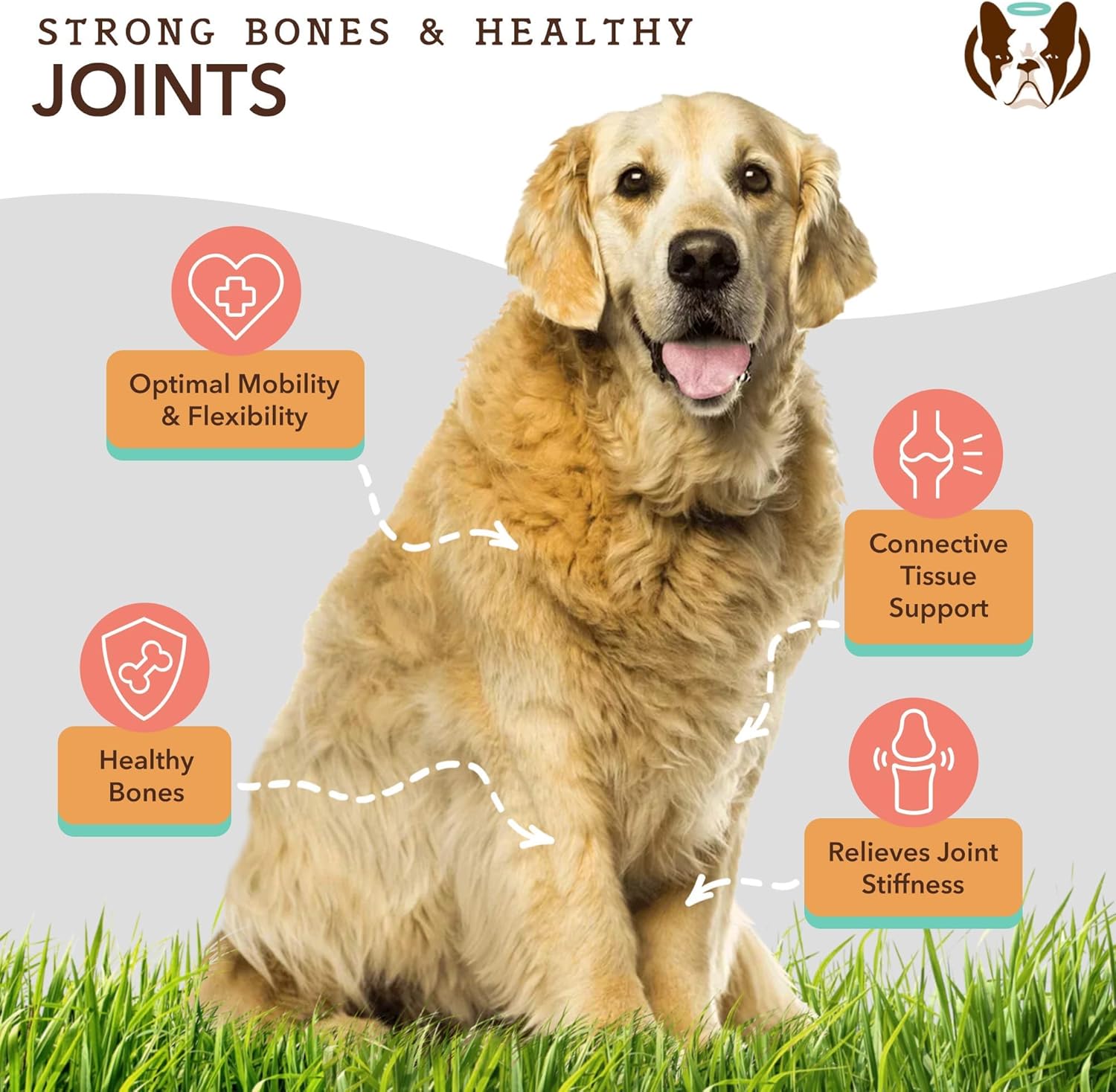 32 oz. Natural Dog Company Bundle with Wild Alaskan Salmon Oil and Liquid Glucosamine for Joint Support