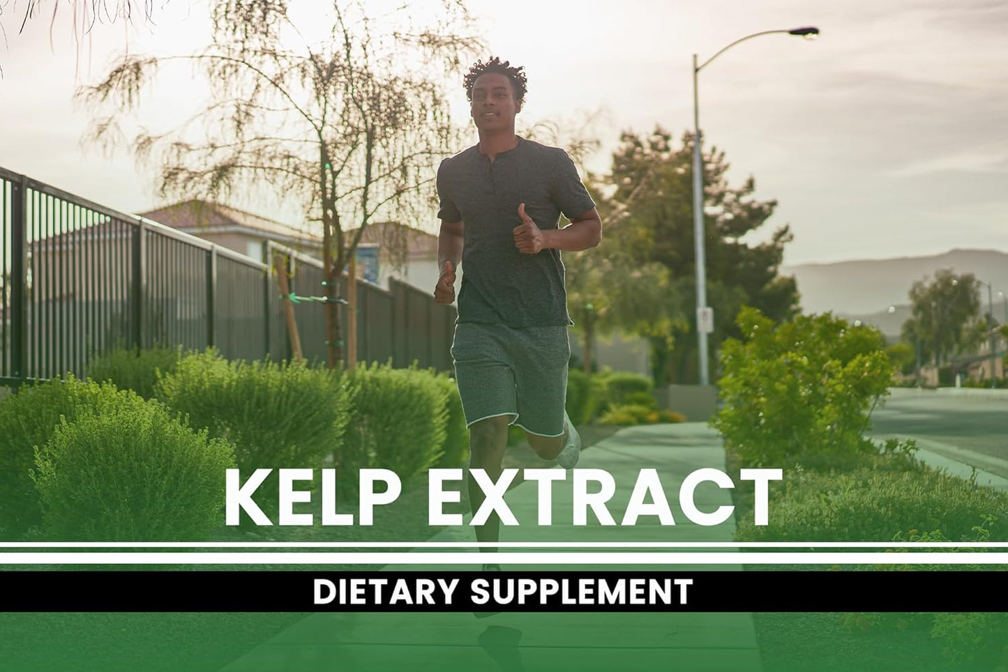 365 Capsules of Pure Kelp Extract - No Magnesium or Rice Fillers - Lab Verified - Always Original Ingredients