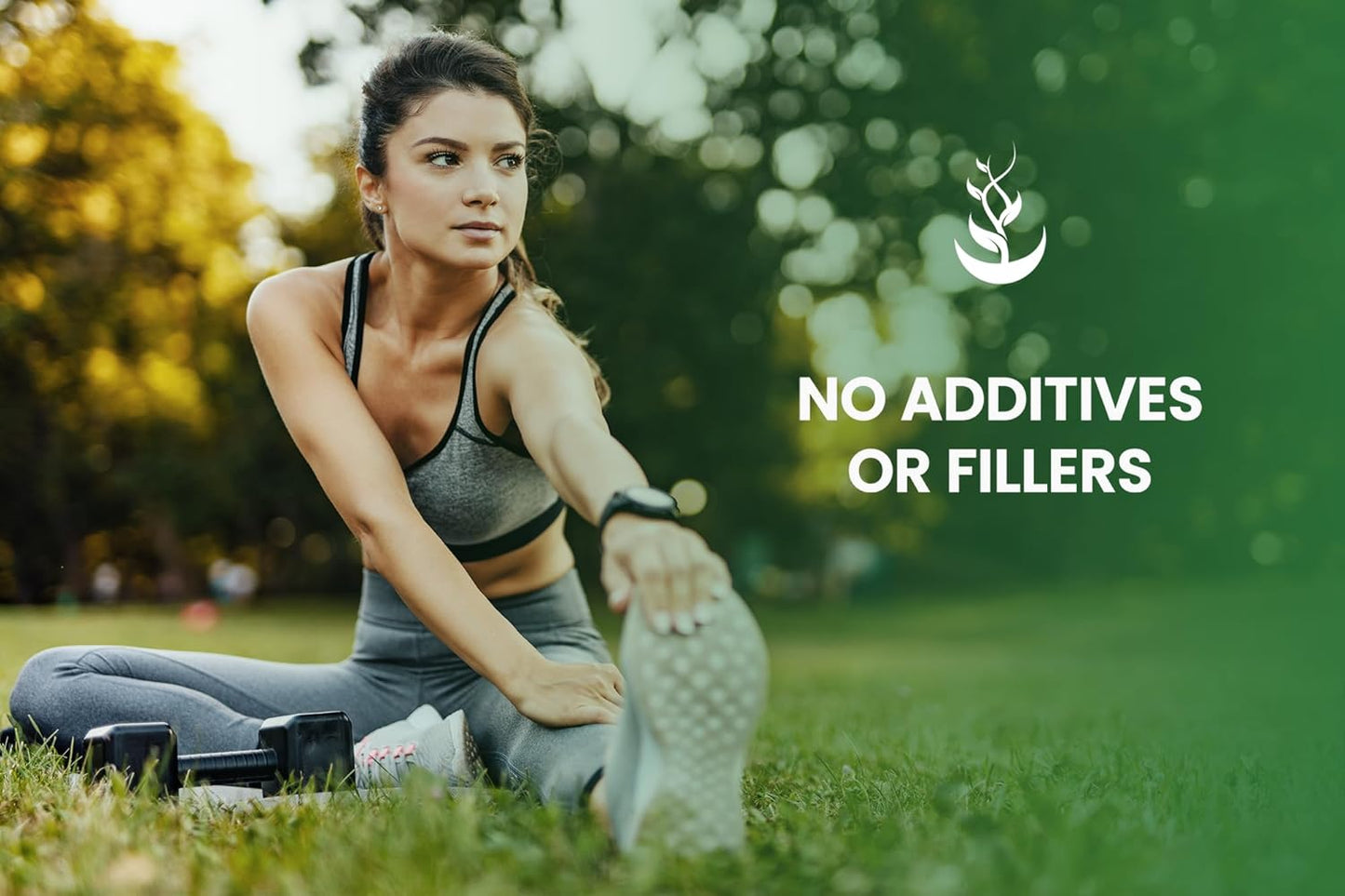 365 Capsules of Pure Kelp Extract - No Magnesium or Rice Fillers - Lab Verified - Always Original Ingredients