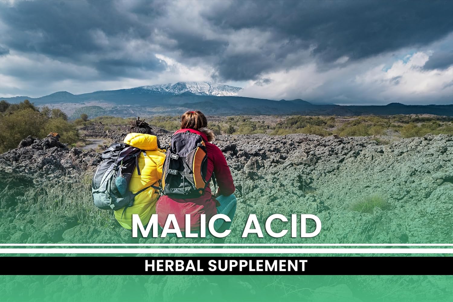 365 Capsules of Pure Malic Acid with Original Ingredients, No Magnesium or Rice Fillers - Lab Verified