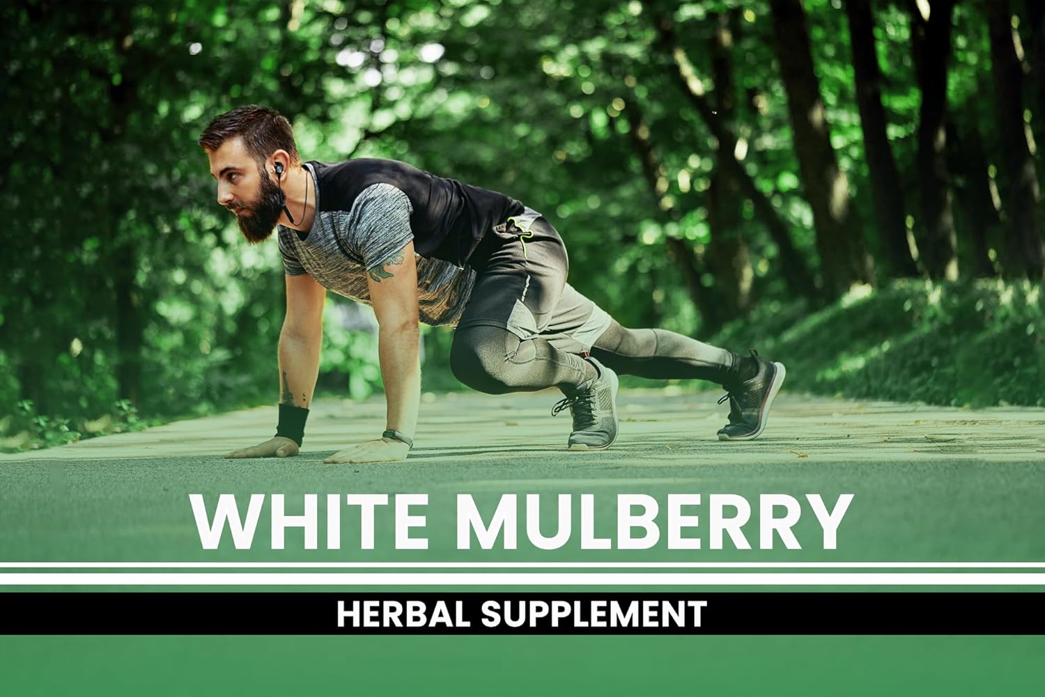 365 Capsules of Pure White Mulberry with Original Ingredients, No Magnesium or Rice Fillers - Lab Verified, Always Pure