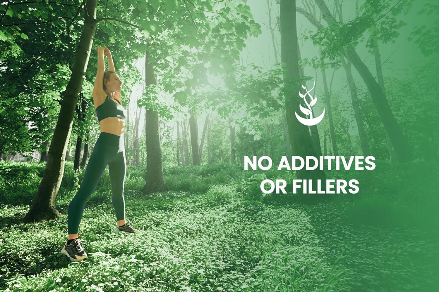 365 Capsules of Pure White Mulberry with Original Ingredients, No Magnesium or Rice Fillers - Lab Verified, Always Pure