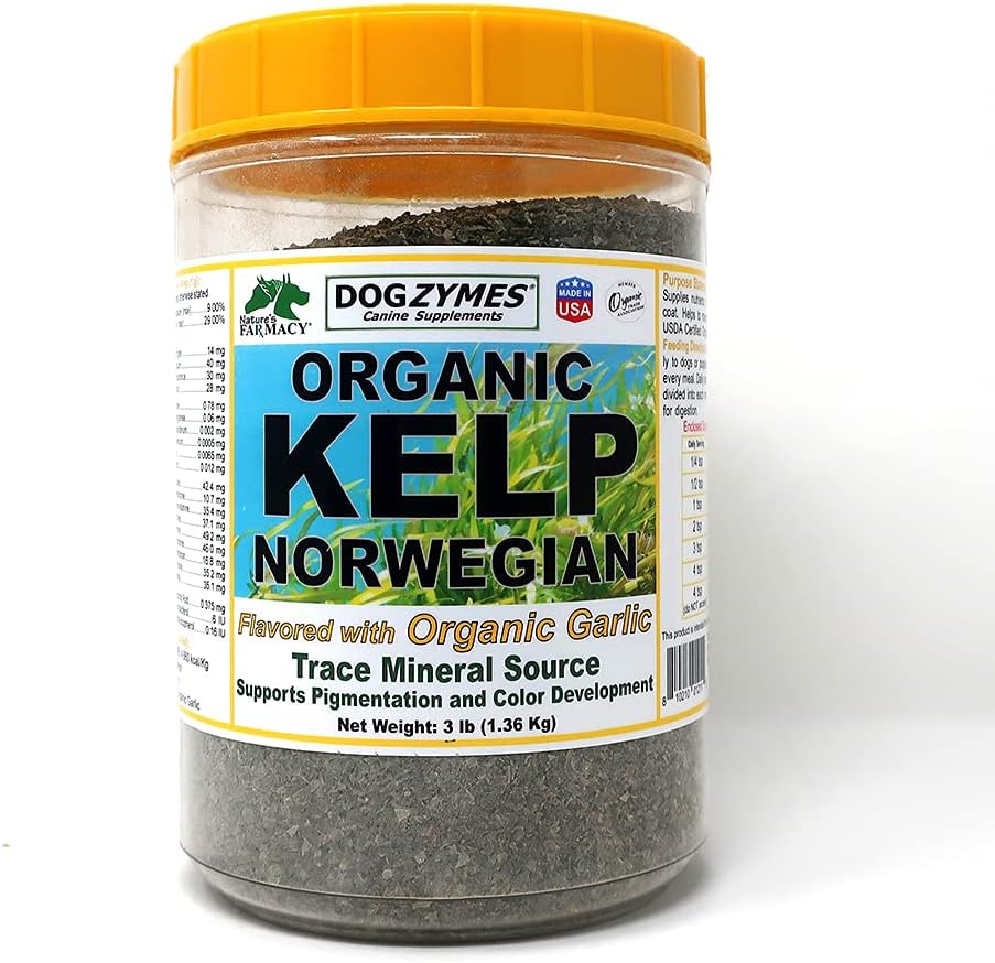 3lb Dogzymes Organic Norwegian Kelp with Garlic: Natural Dog Supplement