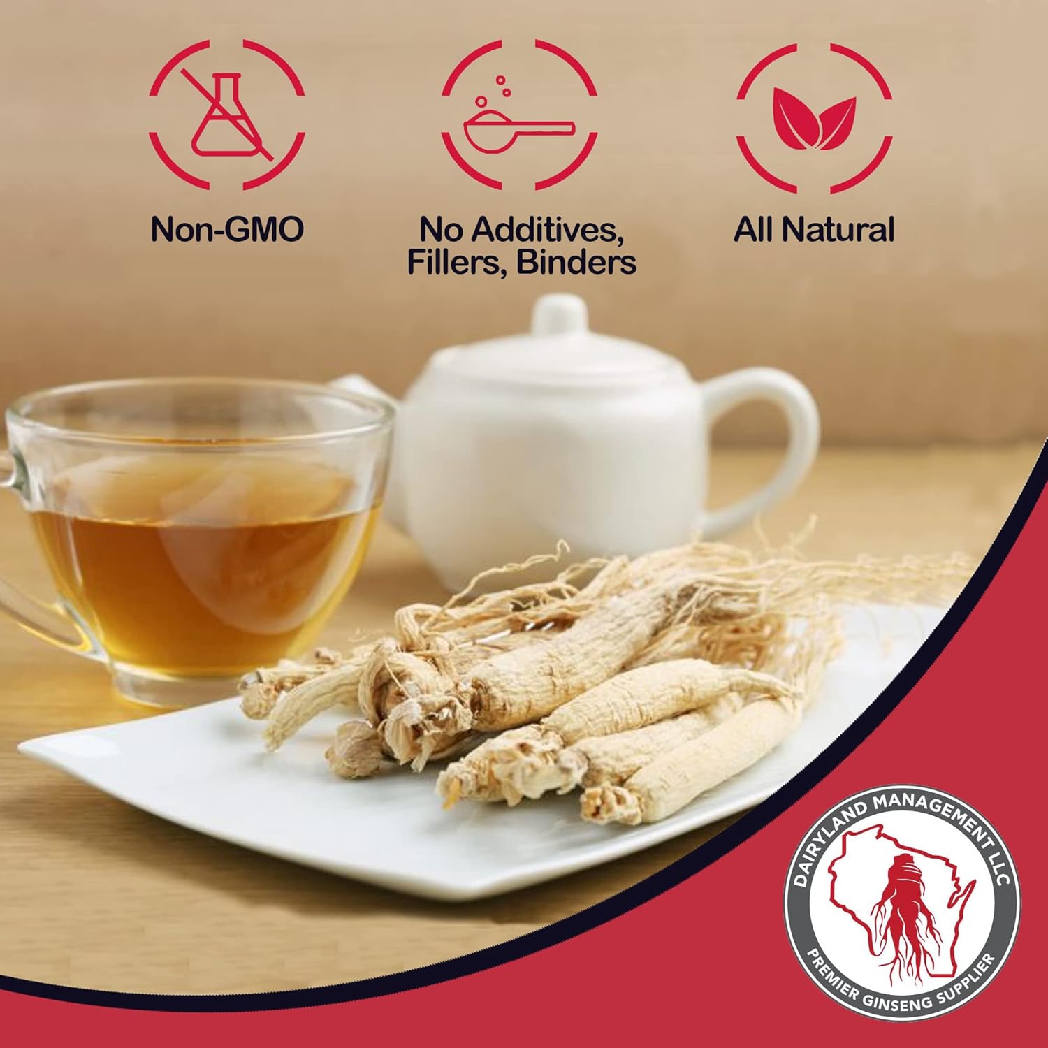 4 oz Pack of Dairyland American Ginseng Roots Prongs - Non-GMO, Gluten Free Wisconsin Ginseng for Soup, Tea, Congee - Herbal Supplement by Dairyland Management LLC