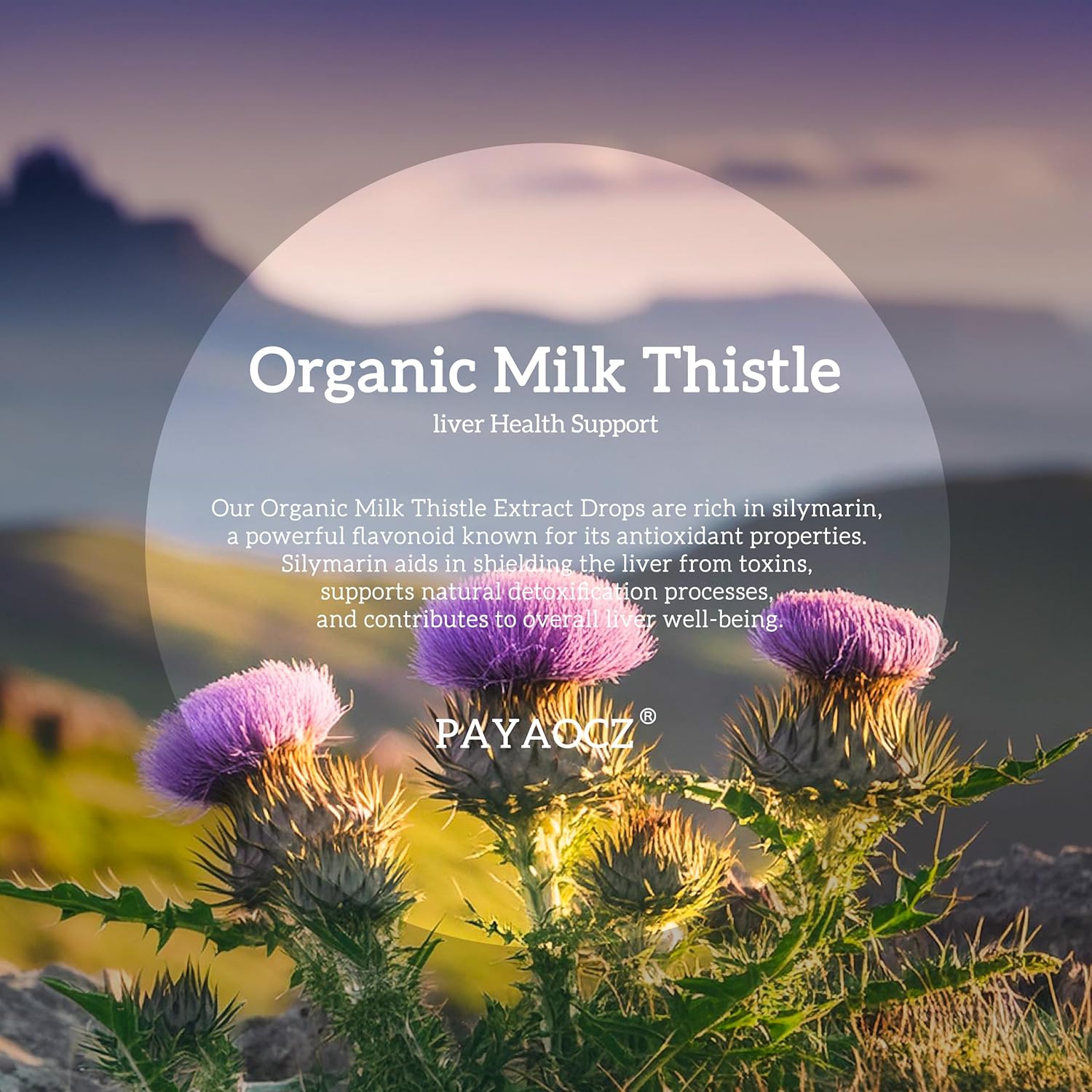 4 Pack Milk Thistle Liquid Drops Silymarin 1000mg Liver Detox Cleanse Organic Extract Repair Health Vegan Non-GMO