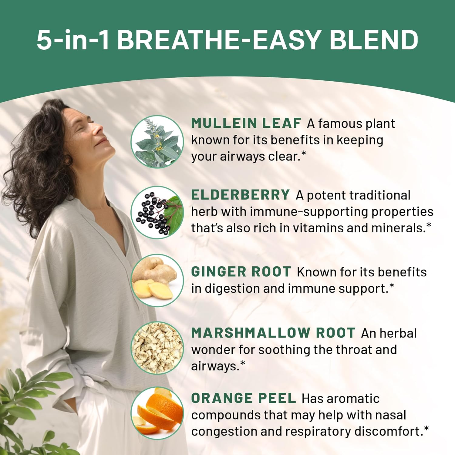 4-pack PrimeMD Mullein Lung Health Drops with Elderberry, Marshmallow, Ginger Root - 5-in-1 Respiratory Support Tincture - 120 Servings