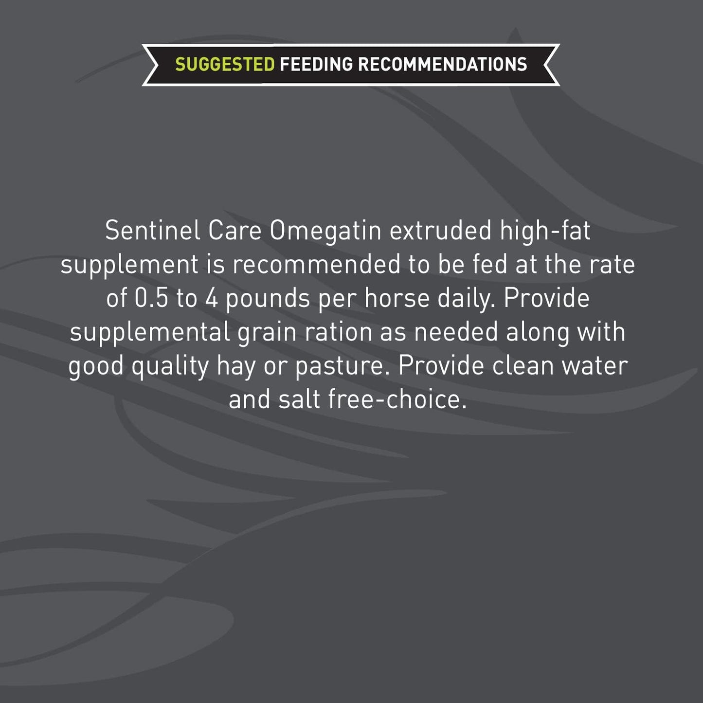 40 lb Bag of Blue Seal Sentinel Care Omegatin Supplement for Horses