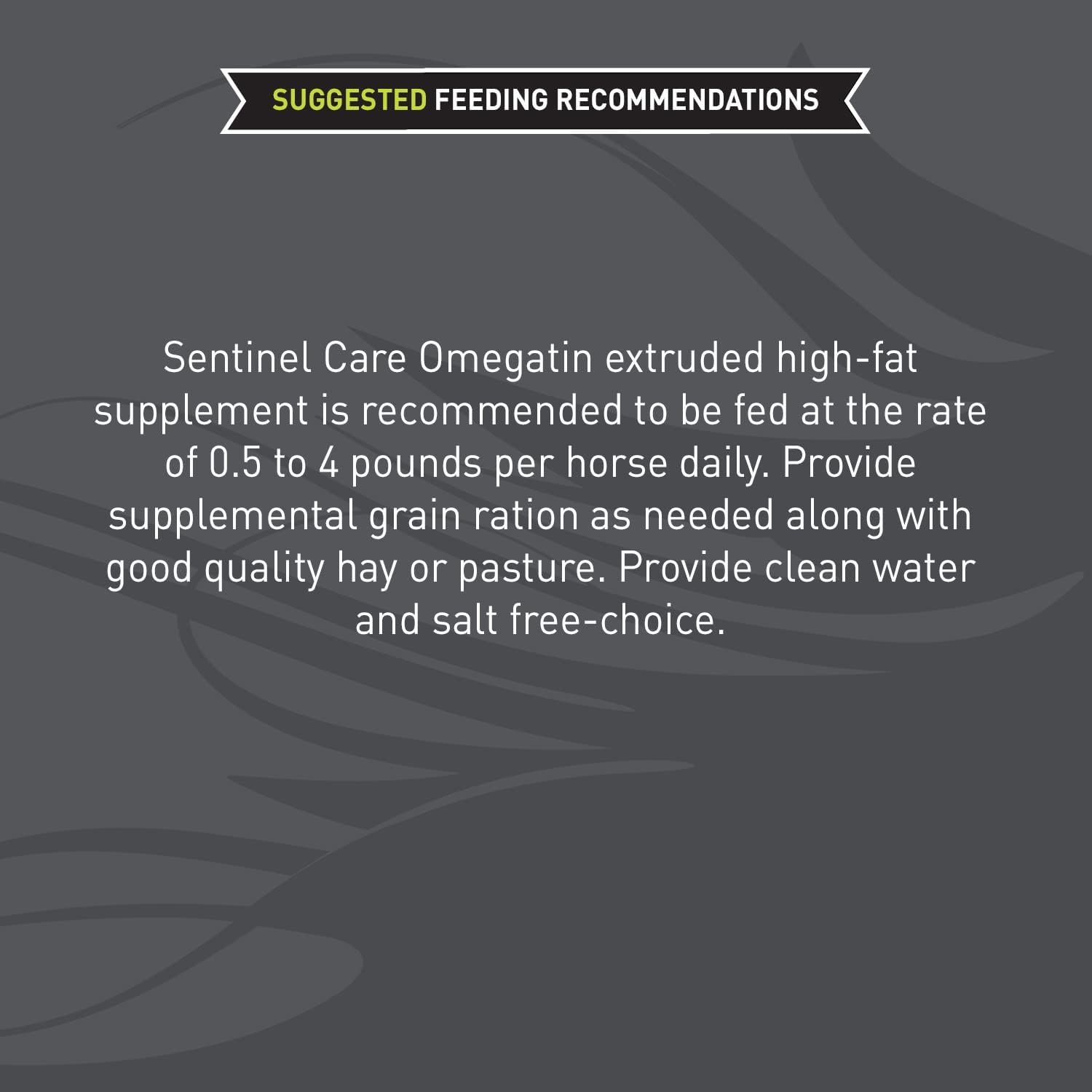 40 lb Bag of Blue Seal Sentinel Care Omegatin Supplement for Horses