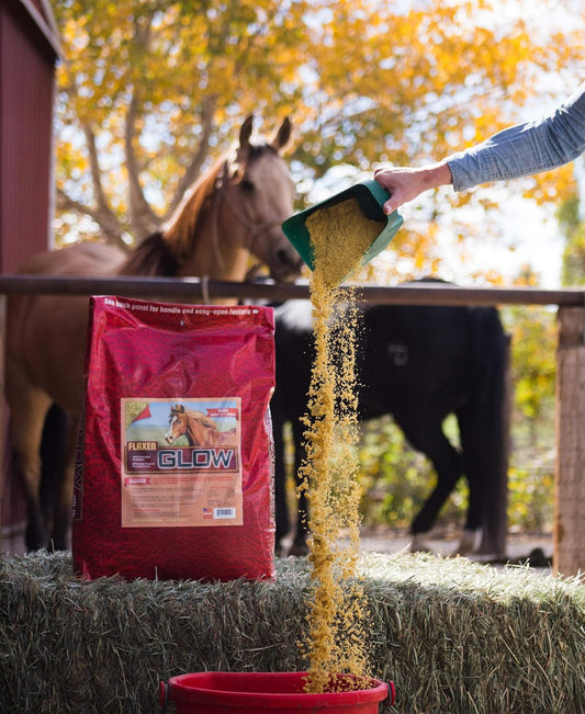 40 lb Horse Guard Glow Supplement for Weight Gain & Improved Coat Condition, Rich in Omega-3's