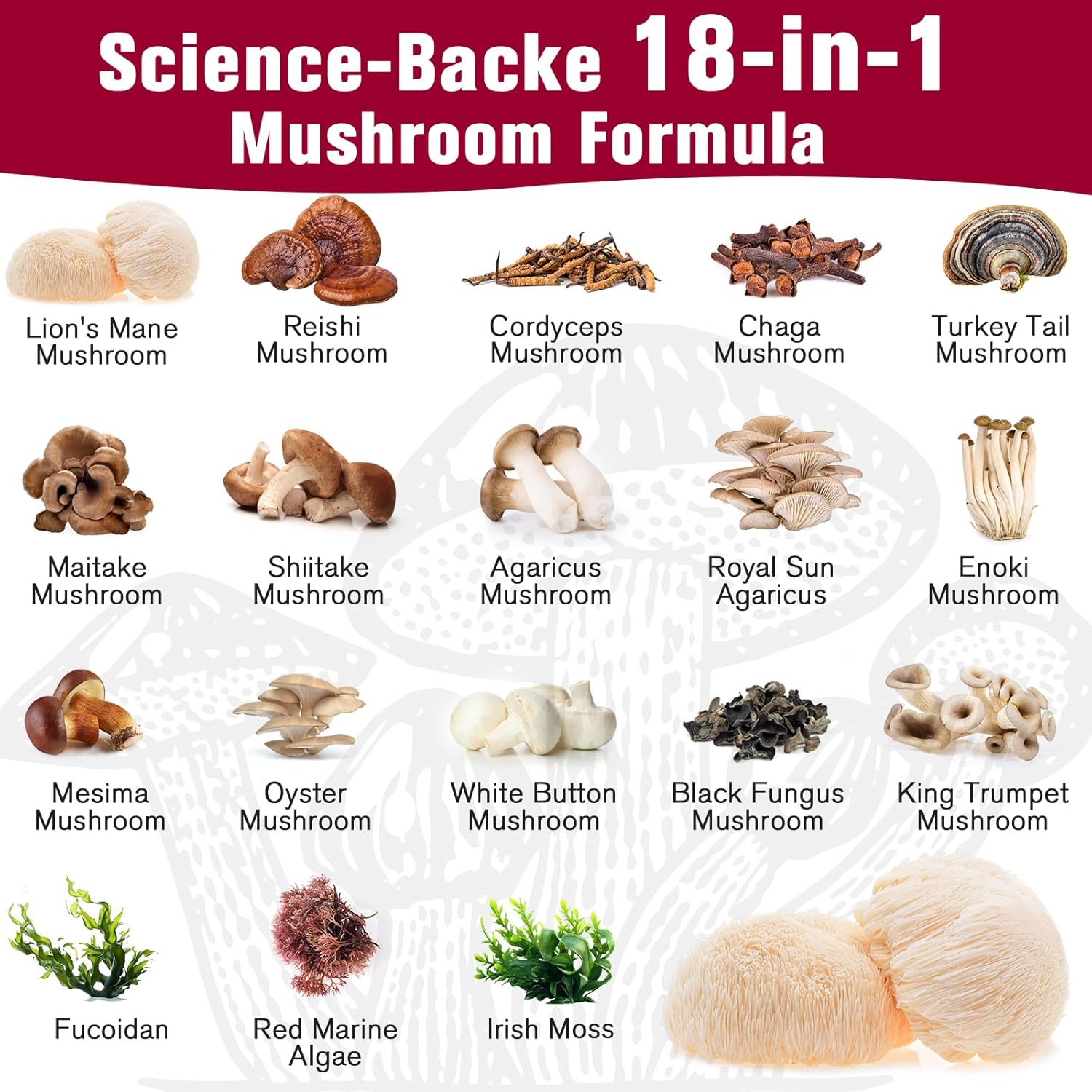 4000mg Dmeisy Sublingual Mushroom Complex Supplement - 18-in-1 Lions Mane, Reishi, Turkey Tail & More for Memory, Focus, Energy, Mood, Immunity - 60 Tablets